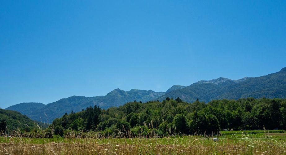 Slovenië natuur Slovenië natuur